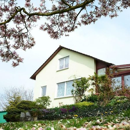 Ferienwohnung Rheinblick บัดเบลลิงเงน ภายนอก รูปภาพ