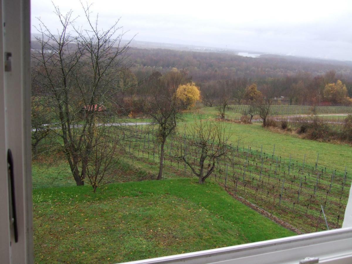 Ferienwohnung Rheinblick บัดเบลลิงเงน ภายนอก รูปภาพ