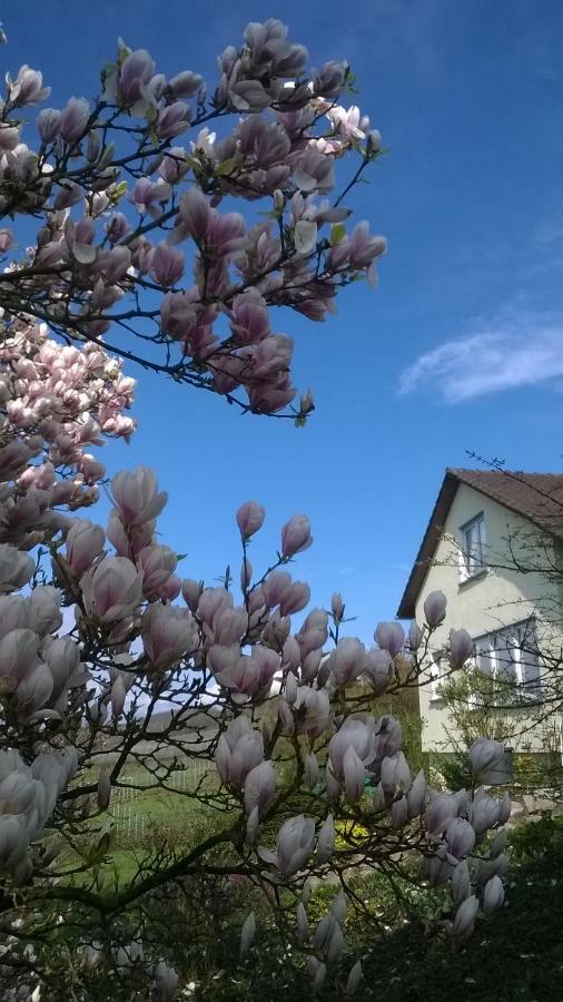Ferienwohnung Rheinblick บัดเบลลิงเงน ภายนอก รูปภาพ