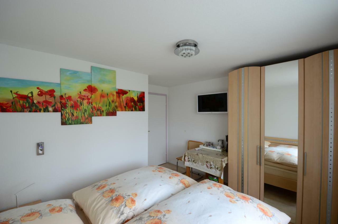 Ferienwohnung Rheinblick บัดเบลลิงเงน ภายนอก รูปภาพ