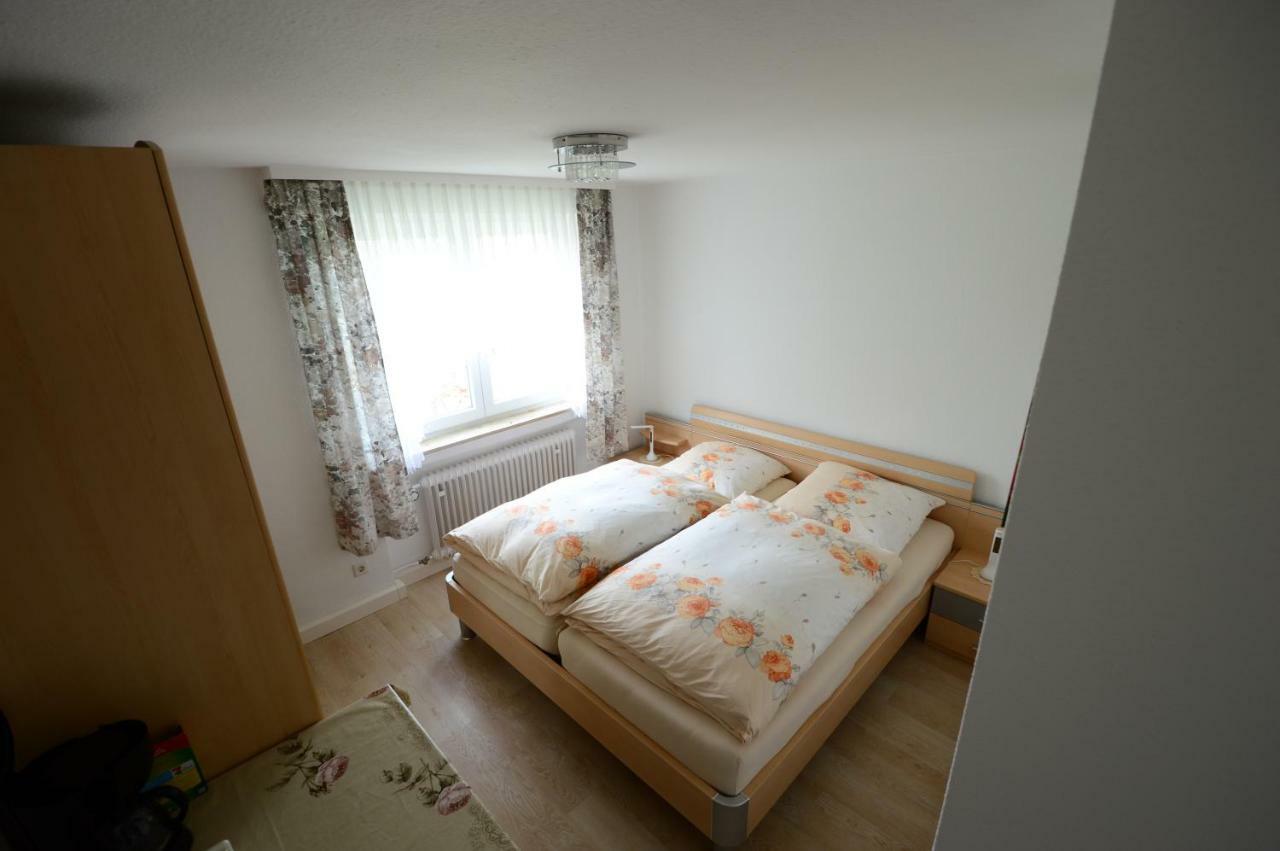 Ferienwohnung Rheinblick บัดเบลลิงเงน ภายนอก รูปภาพ